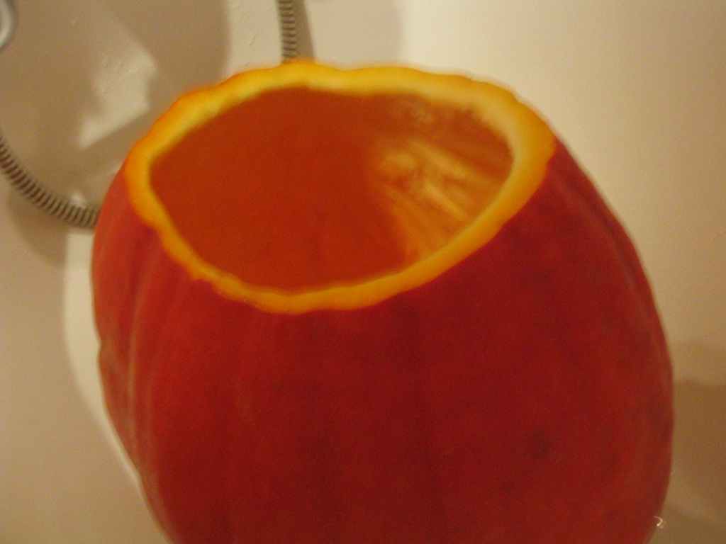 159_5973.JPG