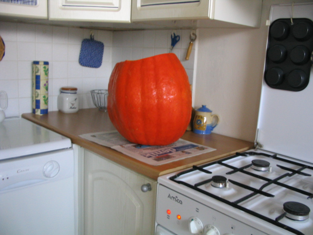 159_5978.JPG